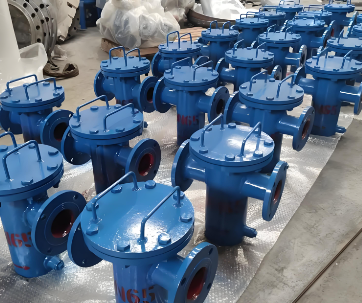 藍(lán)式管道過(guò)濾器